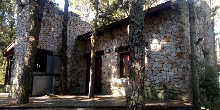 A6936 PARAISO FRENTE 1