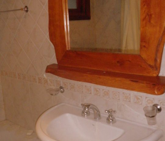 BAÑO3