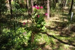 IMG-20181207-WA0012