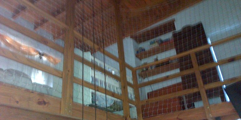 Villa Gesell-20131214-00162