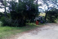 IMG-20180326-WA0005