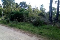 IMG-20180326-WA0006