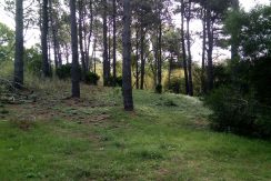 IMG-20180326-WA0007