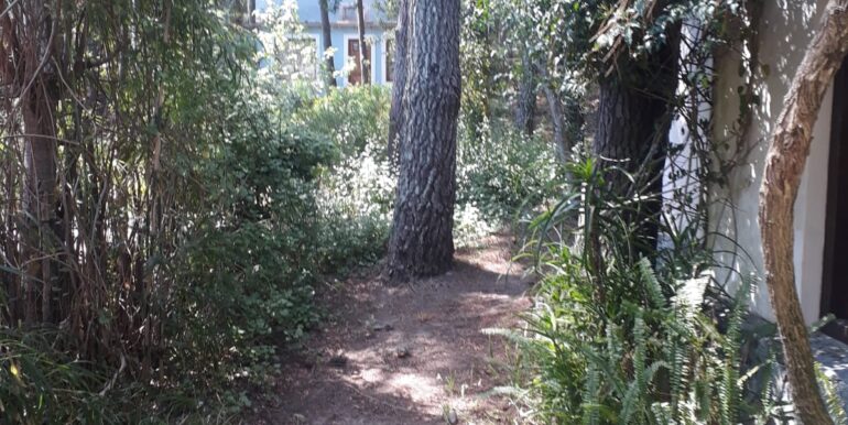 IMG-20211021-WA0015