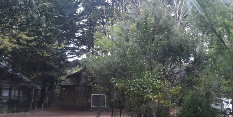 IMG-20211022-WA0006 (1)