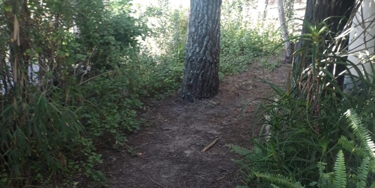 IMG-20211118-WA0031 (1)