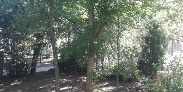 IMG-20211207-WA0011 (1)