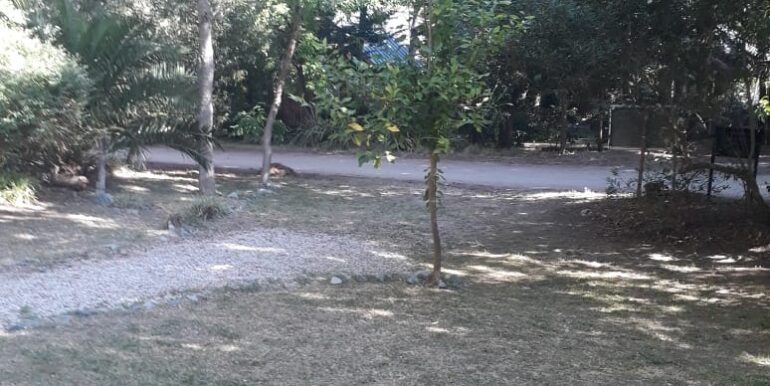 IMG-20211207-WA0012 (1)
