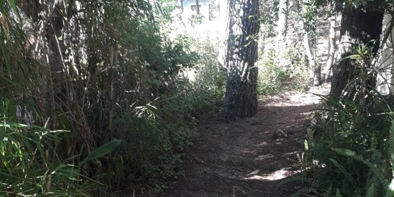 IMG-20211207-WA0013 (1)